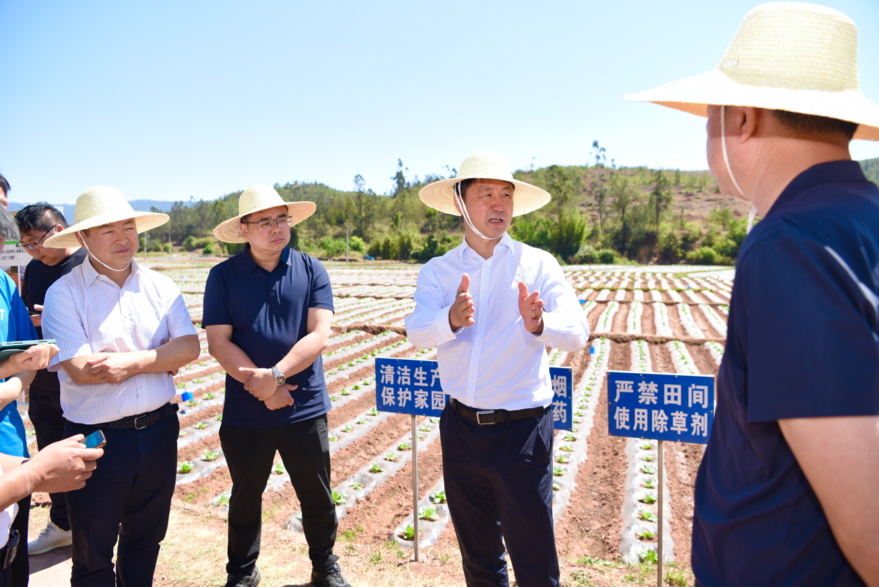 刘勇在南华县调研督导时强调：稳住农业基本盘 促进农民持续增收